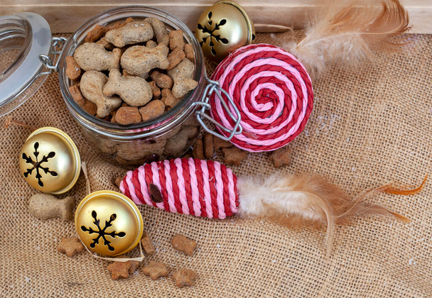 Karácsonyi macska ajándékok, csak a legjobb elrontani a szőrös barátja ebben az ünnepi szezonban - Fotó, kép