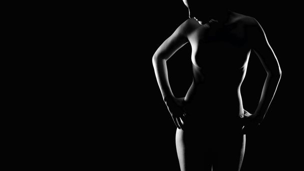 Erotikus vonzó fiatal nő körvonala - Fotó, kép