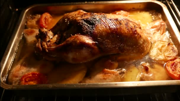Турция в духовке
 - Кадры, видео