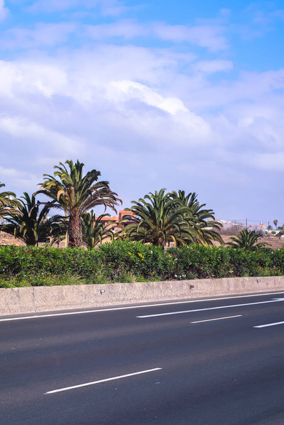 Trooppinen palmu ja katu Las Palmasissa duirng aurinkoinen päivä - Valokuva, kuva