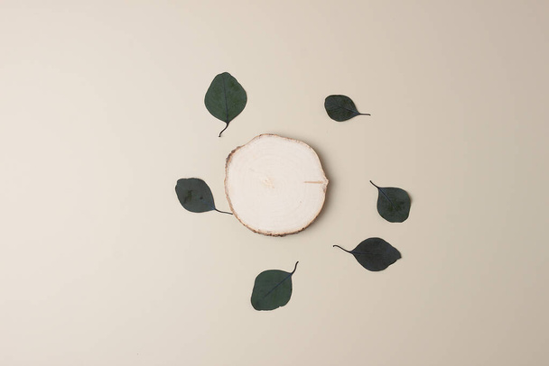 Cosmetic background with a wooden podium and eucalyptus on pastel beige. Flat lay, copy space - Fotoğraf, Görsel