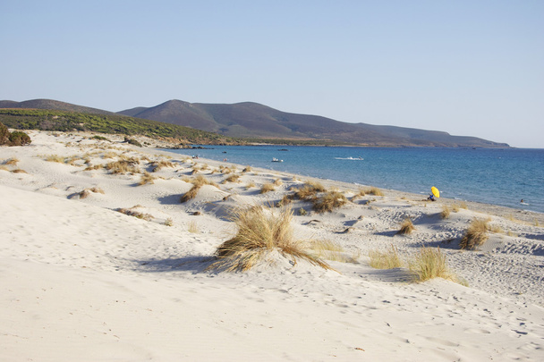 Le dune beach in Sardinia - Foto, Imagem