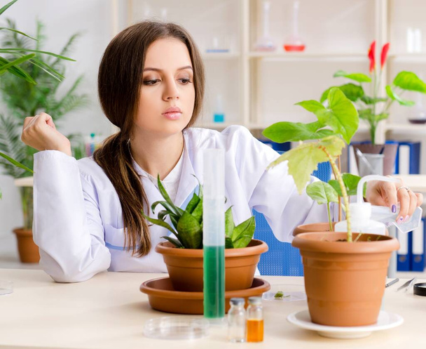 Labrassa työskentelevä nuori kaunis biotekniikan kemisti - Valokuva, kuva