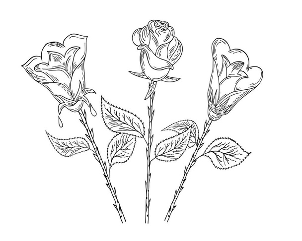  Una rosa simple. Dibujo de contorno sobre fondo blanco. Para decorar invitaciones, tarjetas, estampado de telas y decoración - Vector, imagen