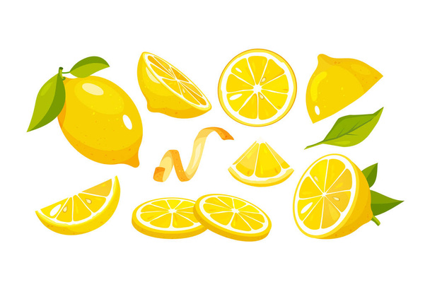 Набор векторов лимона. Сбор лимонных фруктов, половинки и ломтики изолированы на белом фоне - Вектор,изображение