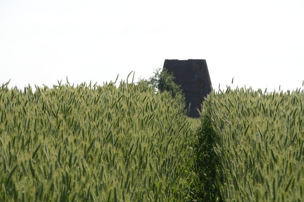 Fuera de la ciudad - paisaje rural - un antiguo molino de viento en el fiel
 - Foto, imagen