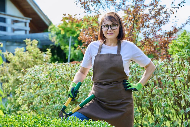 A női kertész sövényt vág a kertben, kötényes mosolygós nő és kerti ollós kesztyű zöld bokrot képez, a kamerába néz. Kertészeti, kertészeti, tájrendezési munka - Fotó, kép