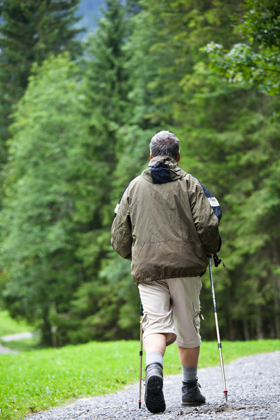 Active handsome senior man nordic walking outdoors on a forest p - 写真・画像
