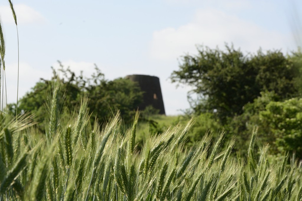 Outside the city - rural landscape - an old windmill on the fiel - Photo, Image