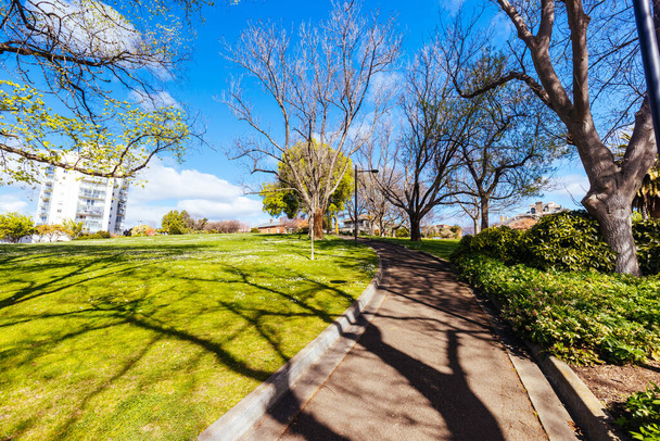 Princes Park on a warm spring morning in Battery Point, Hobart, Tasmania, Australia - Zdjęcie, obraz