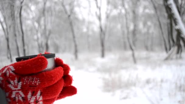 Uzun saçlı, kırmızı eldivenli esmer bir kız. Elinde termostan bir turist tutan bir süs var. Kar yağarken. Dinlenme turizmi geçmişi. Kış orman manzarası arka planı bulanıklaştırdı. Soğuk kış manzarası - Video, Çekim