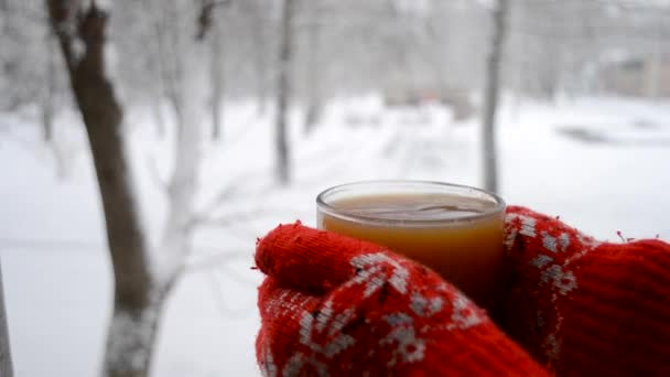 brunetka s dlouhými vlasy v červených rukavicích s ornamentem drží turistu z termosky pohár. Během sněžení. Zbytek turistického zázemí. Zimní lesní scenérie rozmazala pozadí. Studená zimní krajina - Záběry, video
