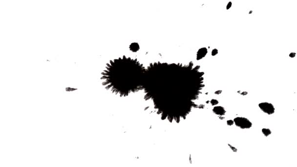 HD 1080 Zwarte druppels zwarte inkt vallen op wit vlak, geïsoleerde zwarte inkt druppels vallen op wit papier close-up. Abstract creatief achtergrond shot - Video