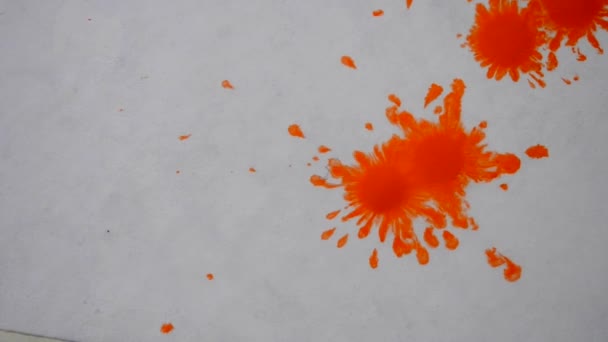 червоне, помаранчеве чорнило, краплі фарби поширюються на папері мокрим білим органічним потоком. Яскраві вогняні апельсинові краплі акварельної фарби крапля чорнила на плоскій білій поверхні. Абстрактна творча фонова стрілянина
 - Кадри, відео