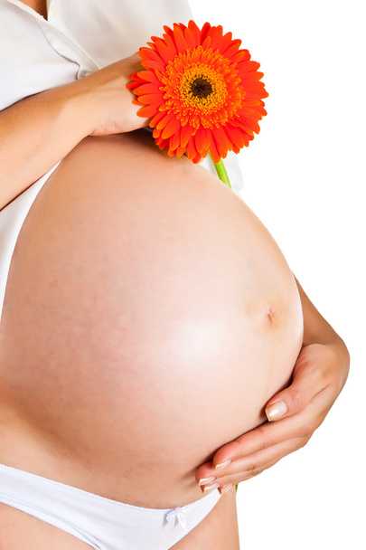 Pregnant woman holding gerbera flower isolated on white - Foto, immagini