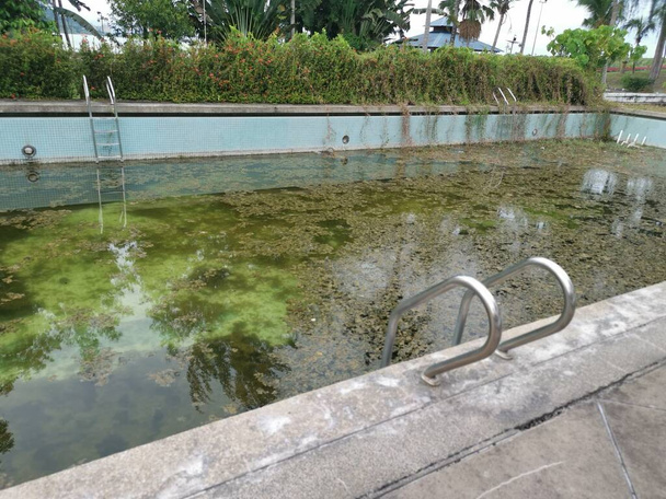 piscina al aire libre sin mantenimiento con algas flotando en la superficie del agua. - Foto, imagen
