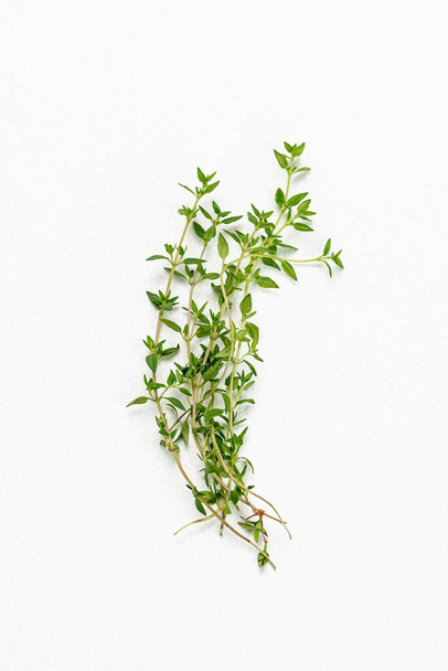timo steli foglie fondo bianco ingrediente biologico erbe aromatiche medicinali - Foto, immagini