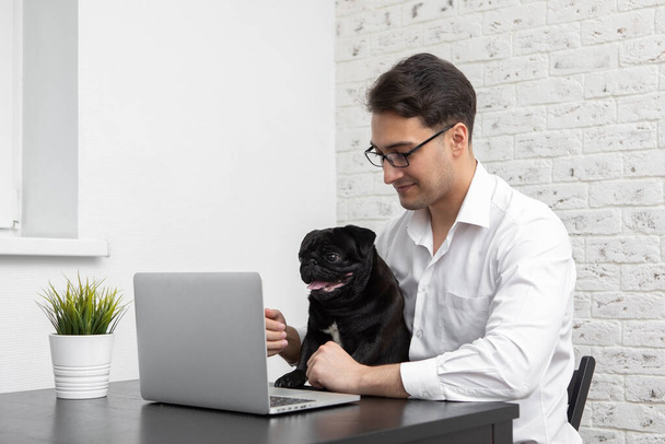 Улыбающийся бизнесмен и его очаровательный мопс, работающий дома на ноутбуке. Концепции дистанционной работы и дружбы - Фото, изображение