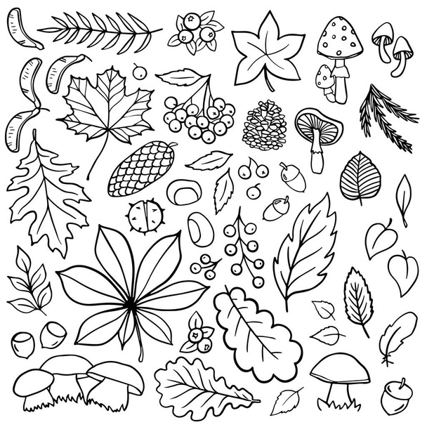 Fall Autumn Nature Doodle linear outline monochrome vector seasonal illustration set for web digital projects and bullet journal isolated on white background  - Vektor, kép