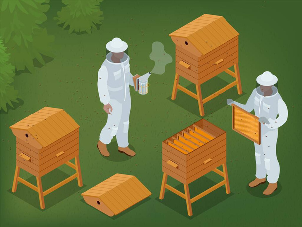 Apicoltura sfondo isometrico con due apicoltori in apiario utilizzando fumatore e tenendo cornice miele 3d vettoriale illustrazione - Vettoriali, immagini