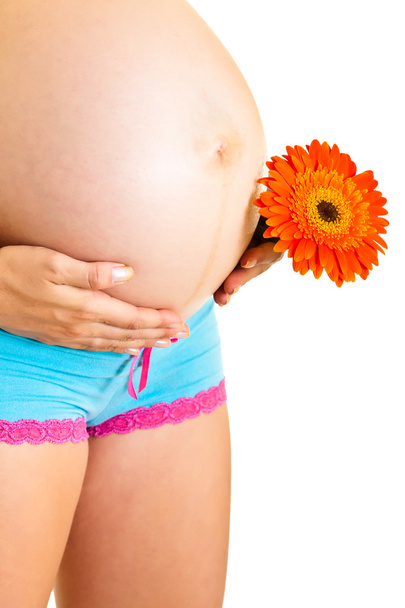 Pregnant woman holding gerbera flower isolated on white - 写真・画像
