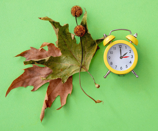 Fall Back, Daylight Saving Time. One hour back on yellow clock and autumn leaves on green background, top vie - Photo, Image