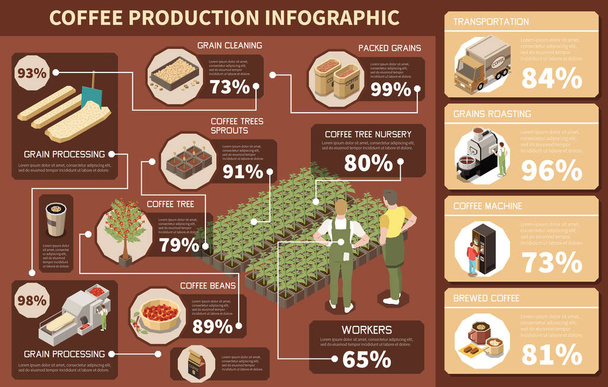 Koffie productie industrie isometrische infographics beeltenis van koffieboom kwekerij graan verwerking reiniging roosteren pakket vector illustratie - Vector, afbeelding