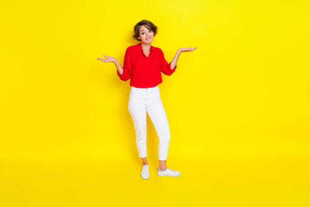 Full size portrait of questioned positive girl hands shrug shoulders not know isolated on yellow color background. - Фото, зображення