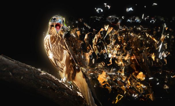Falcon with open beak, abstract animal concept - Photo, Image