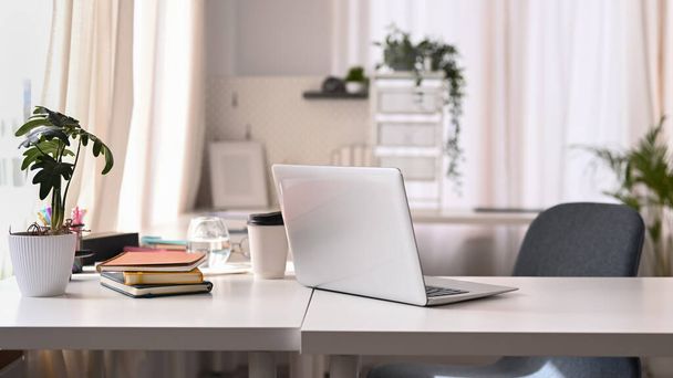 Laptop bilgisayarı, ev bitkileri, kitaplar ve beyaz masadaki çeşitli ofis malzemeleriyle parlak modern ofis içi. - Fotoğraf, Görsel