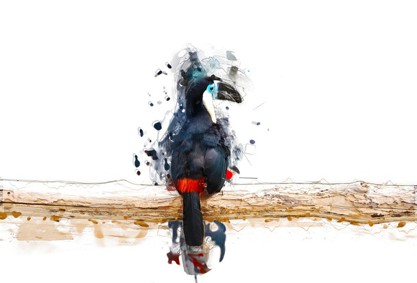 Toucan op de tak, abstract dierlijke begrip - Foto, afbeelding