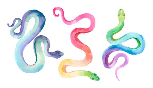 Акварель набор простых разноцветных змей изолированы на белом фоне. Комплект для различных - Фото, изображение