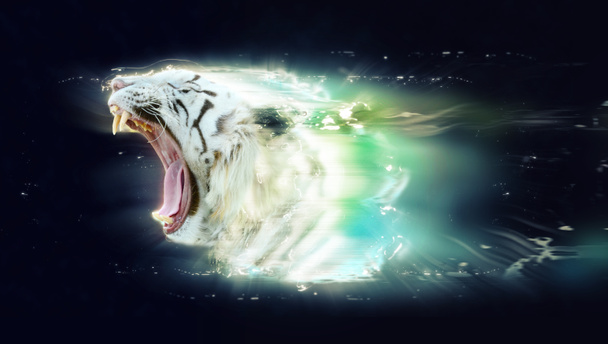 Белый тигр с открытой челюстью, абстрактная животная концепция
 - Фото, изображение