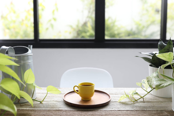 Žlutý šálek kávy a trpasličí jazyk rostlina na dřevěném stole - Fotografie, Obrázek