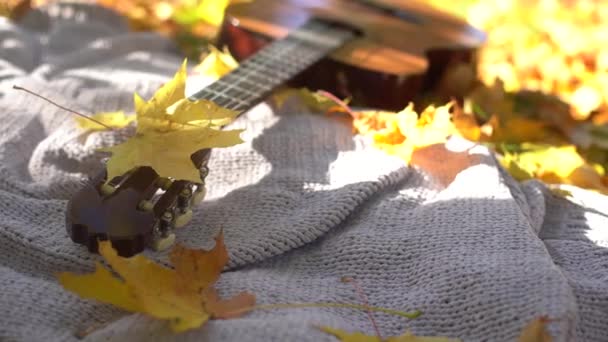 Guitarra y hojas de otoño de fondo - Imágenes, Vídeo