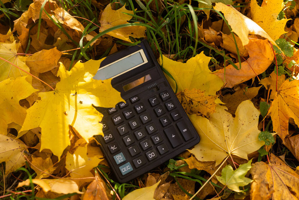 желтые осенние листья и калькулятор. - Фото, изображение