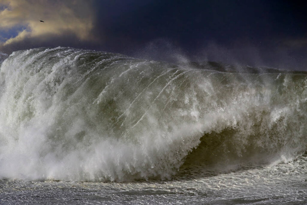 Grosse vague de tempête. Côte nord portugaise. - Photo, image