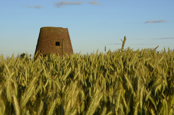 За городом - сельский пейзаж - старая ветряная мельница на поле
 - Фото, изображение