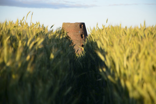 Old windmill in field - Photo, Image
