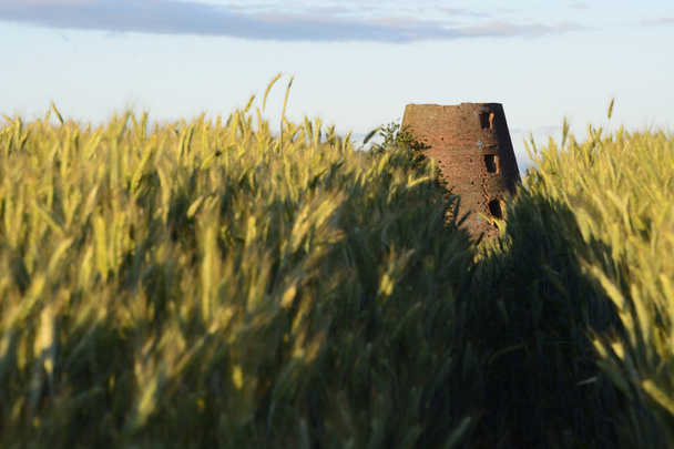 Old windmill in field - Photo, Image