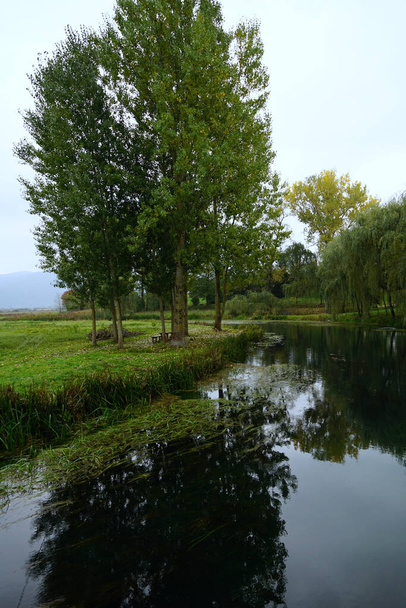Hermosos árboles grandes y altos cerca del agua del río que fluye en temporada de otoño - Foto, imagen