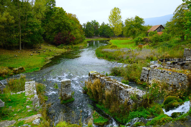 Źródło chorwackiej rzeki Gacka w nietkniętej zielonej naturze - Zdjęcie, obraz