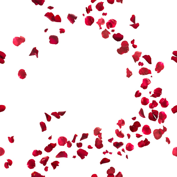 Seamless Red Rose Petals Breeze - Photo, Image