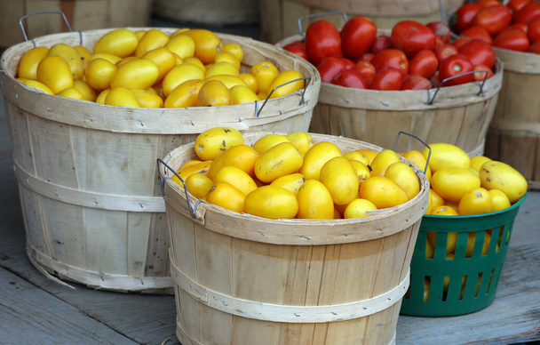 Jean-Talon Market 'teki kırmızı ve sarı domatesler Montreal' de bir çiftçi pazarıdır. Küçük İtalya bölgesinde yer alan pazar Jean-Talon Caddesi ile sınırlıdır. - Fotoğraf, Görsel