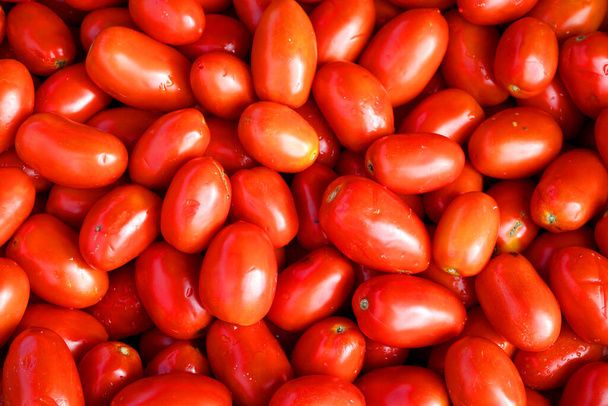 Tomates cerises au Marché Jean-Talon est un marché fermier à Montréal. Situé dans le quartier de Little Italy, le marché est bordé par la rue Jean-Talon - Photo, image