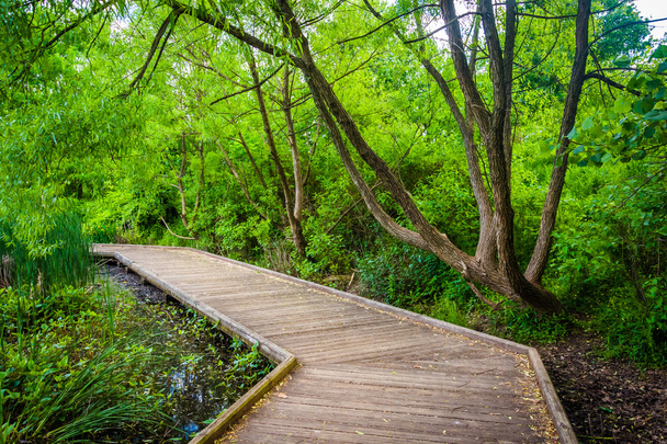 Boardwalk trail at Patterson Park, Baltimore, Maryland. - Фото, изображение
