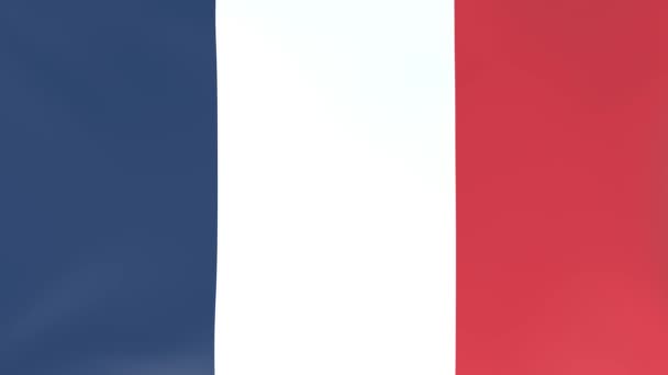 3DCG animation of national flags fluttering in the wind, French - Footage, Video