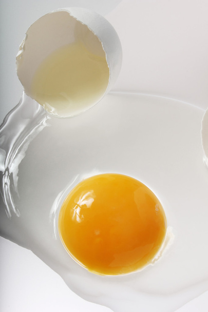 αυγό φόντο - Φωτογραφία, εικόνα
