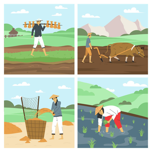 Азіатські фермери плоскі 2х2 з чоловіками і жінками, які працюють на полях, збираючи рис оранки з ізольованих векторних ілюстрацій. - Вектор, зображення