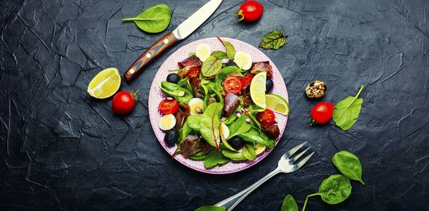 Fresh spring salad with greens, tomato, egg, lime slices of meat.Space for text - Fotoğraf, Görsel